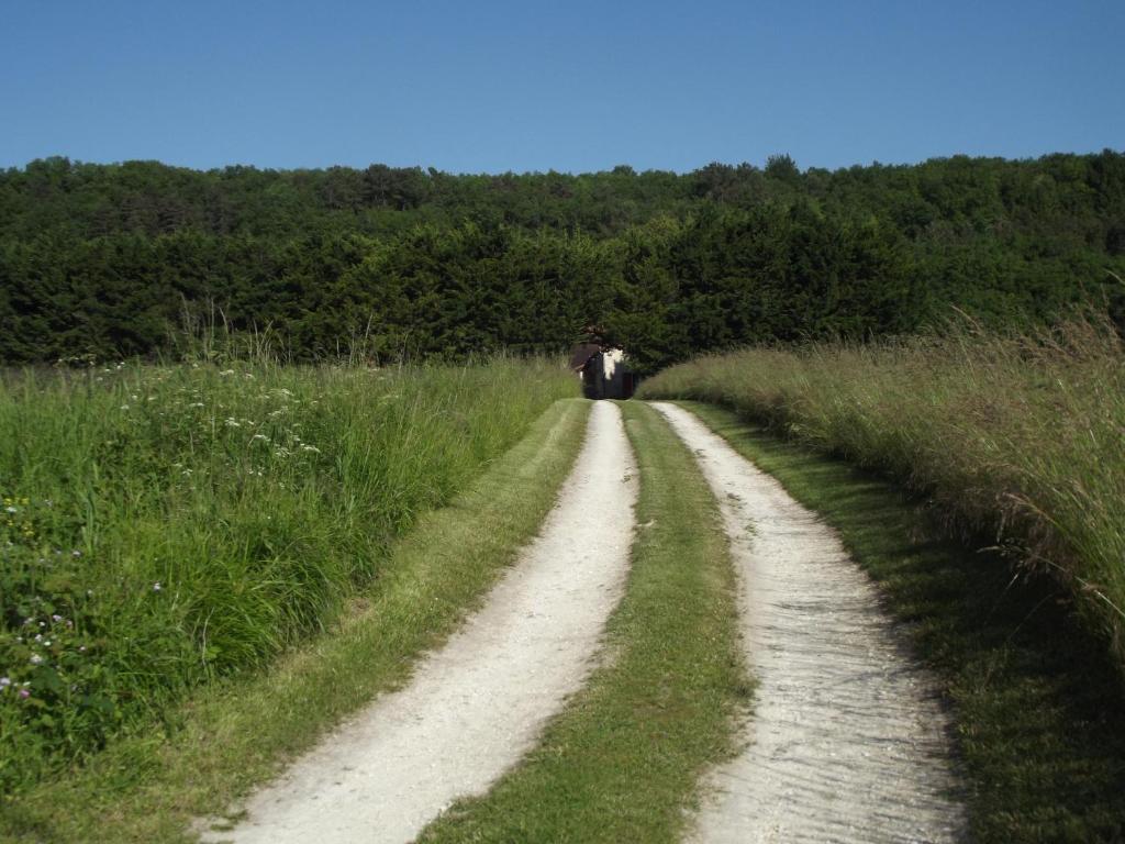 Les Gites De La Treille Montagrier Pokój zdjęcie